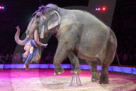 PEOPLE - Zirkus Krone Weihnachtspremiere in München