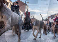 FEATURE - Boxing Day Hunt in England