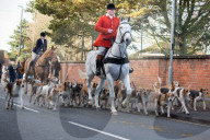 FEATURE - Boxing Day Hunt in England