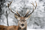 FEATURE - Pix of the Day: Die Bilder des Tages