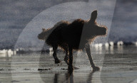 FEATURE - Pix of the Day: Die Bilder des Tages