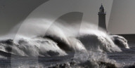 FEATURE - Pix of the Day: Die Bilder des Tages