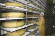 Käse Lagerhalle in Kaltbach 1995