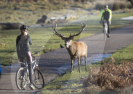 FEATURE - Pix of the Day: Die Bilder des Tages