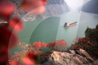 FEATURE - Pix of the Day: Die Bilder des Tages