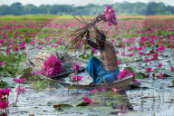 FEATURE - Pix of the Day: Die Bilder des Tages