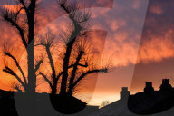 FEATURE - Pix of the Day: Die Bilder des Tages