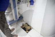 FEATURE - Gefährdete Faulaffen erholen sich in der Tierstation in Bogor