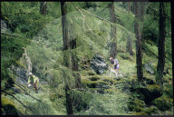 Mountainbike-Rennen Verbier-Grimentz 1990