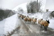 NEWS - England versinkt im Schnee