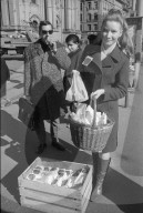 Junge Frau verteilt Äpfel an die Bevölkerung; 1967