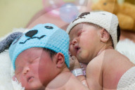 FEATURE - Asien bereitet sich auf das Jahr des Hundes vor