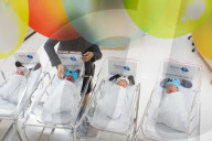 FEATURE - Asien bereitet sich auf das Jahr des Hundes vor