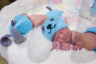 FEATURE - Asien bereitet sich auf das Jahr des Hundes vor