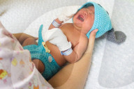 FEATURE - Asien bereitet sich auf das Jahr des Hundes vor