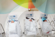 FEATURE - Asien bereitet sich auf das Jahr des Hundes vor