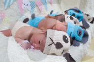 FEATURE - Asien bereitet sich auf das Jahr des Hundes vor