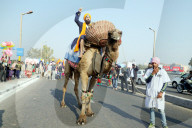 FEATURE - Pix of the Day: Bilder des Tages