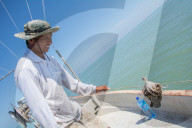 REPORTAGE - Malaysia: Die Insel Penang