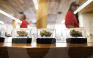 REPORTAGE - Kalifornien legalisiert Cannabis