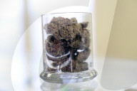REPORTAGE - Kalifornien legalisiert Cannabis