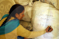 REPORTAGE - Abfalltrennung in Indien