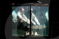 FEATURE -  Sydney Festival: Unterwasserband