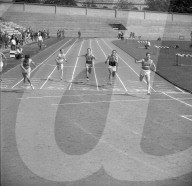 Letzigrund 1961: 100m-Sieger Peter Laeng (R) Nr. 208