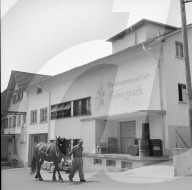 Weinbaugenossenschaft Schinznach, 1959