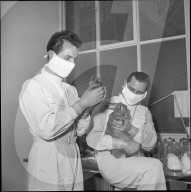 Pharma-Entwicklerteam mit Tieren, Basel 1952