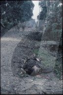 Opfer des Vietnamkriegs, Hue 1968