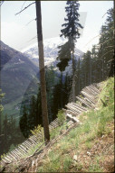 Lawinenschutz aus Holz, 1990