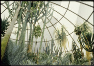 Savannenhaus im Botanischen Garten Zürich 1987