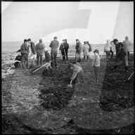 "Bodenseeputzete" 1967