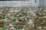 Openair Frauenfeld 2004: Abfall nach dem Event