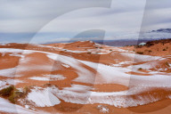 NEWS - Schnee in der Sahara