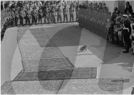 Ehrengarde wartet auf das Eintreffen von Olav von Norwegen, Kehrsatz 1968