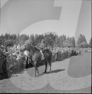48. Marché-Concours Saignelégier, Mädchenrennen, 1951