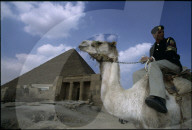 Polizist auf Kamel vor Pyramide