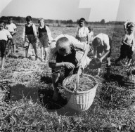Landhilfe in der Schweiz während des 2. Weltkrieges, 1941
