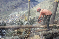 Waldarbeiter zersägt entwurzelte Bäume oberhalb Curaglia 1990