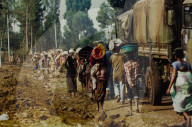 Flüchtlingselend in Ruanda 1994: Flüchtlingsstrom 