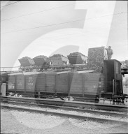 Torfabbau im Seeland, Ins; 1942