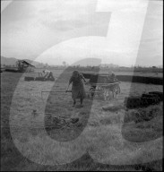 Torf; Torfbriketts stechen; 1941