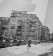 rdb00011183