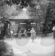 rdb00011352