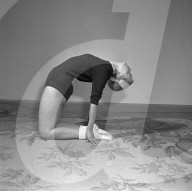 rdb00011590