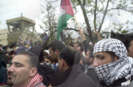 rdb00011909