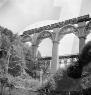 rdb00012908