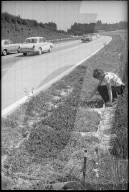 "Versuchsgärtnerei" an der Autobahn, 1972